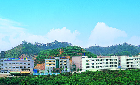 公司簡介2